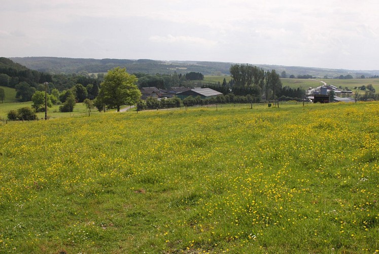 Vue village de Moressée1
