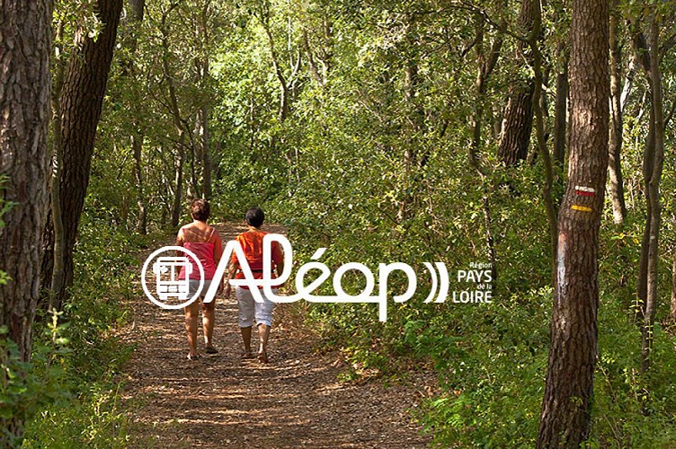 GR® 8 : de La Barre-de-Monts à Saint-Jean-de-Monts, en 1 jour