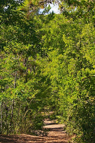 GR® 8 : de La Barre-de-Monts à Saint-Jean-de-Monts, en 1 jour