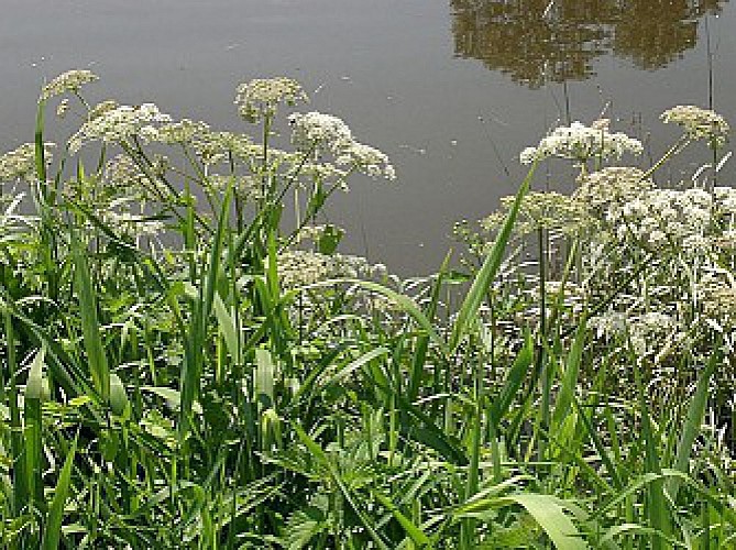 De NANTES à CLISSON en 2 jours