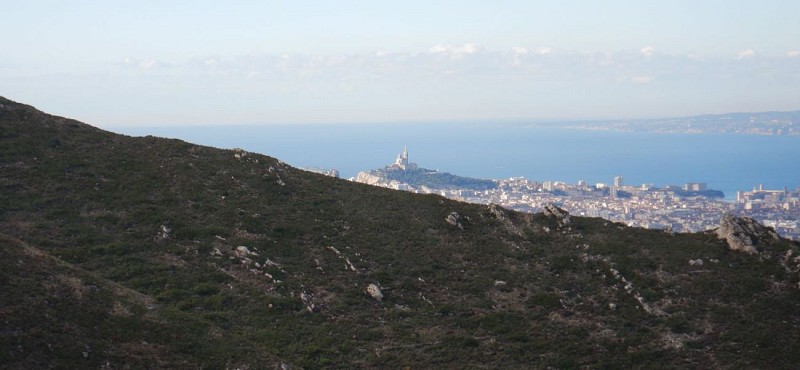 La Bonne Mère vue du Mt St Cyr