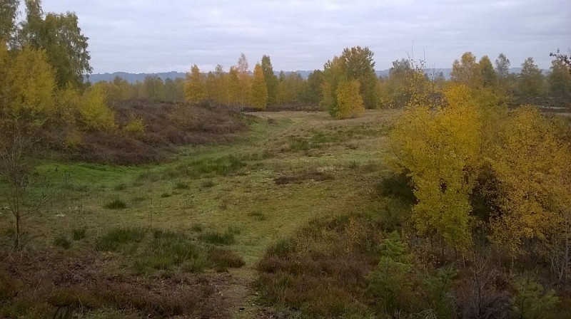 Reserve naturelle de la Boucle de Moisson