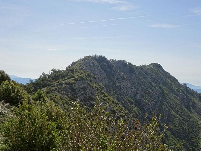 LE MONT BRUNE -- ASCROS