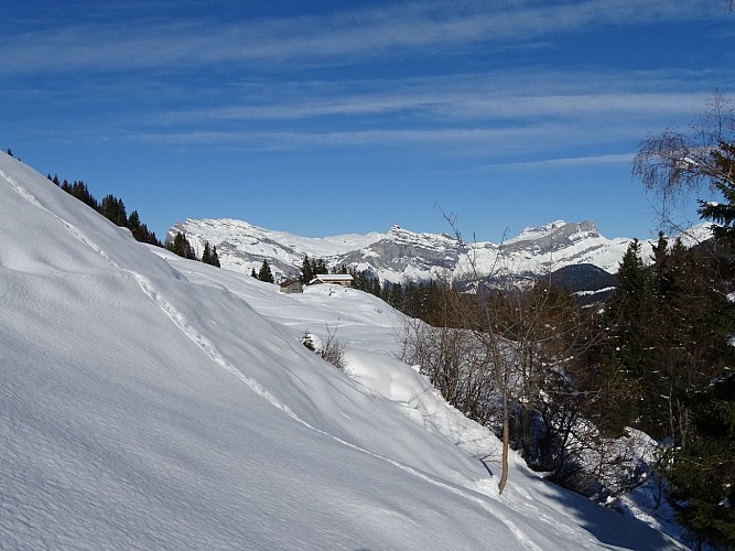Itinéraire raquettes - Plateau de la Croix / Porcherey