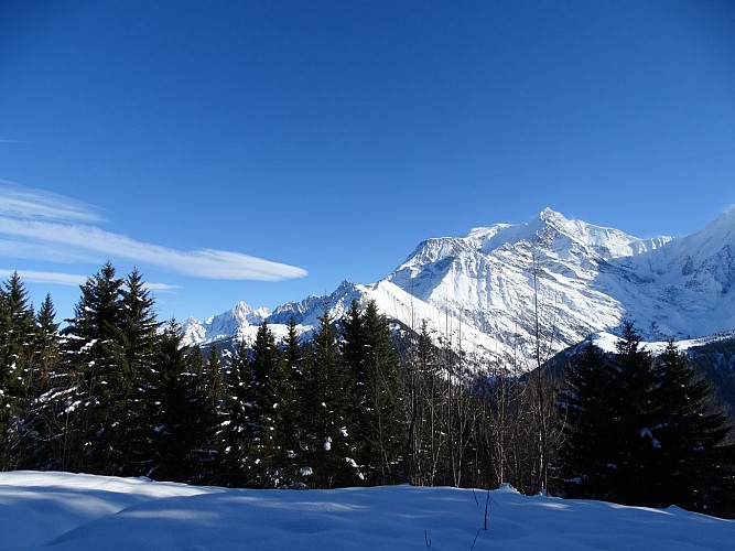 Itinéraire raquettes - Plateau de la Croix / Porcherey