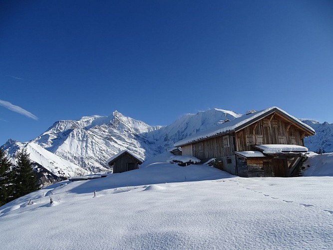Itinéraire raquettes - Plateau de la Croix / Porcherey