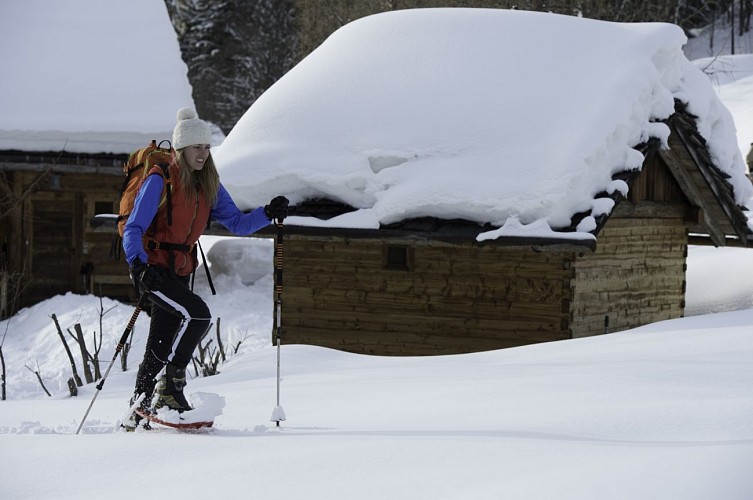 Itinéraire raquettes - Plateau de la Croix / Porcherey