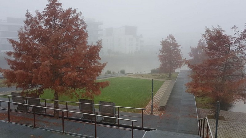 Le jardin de la confluence sous la brume