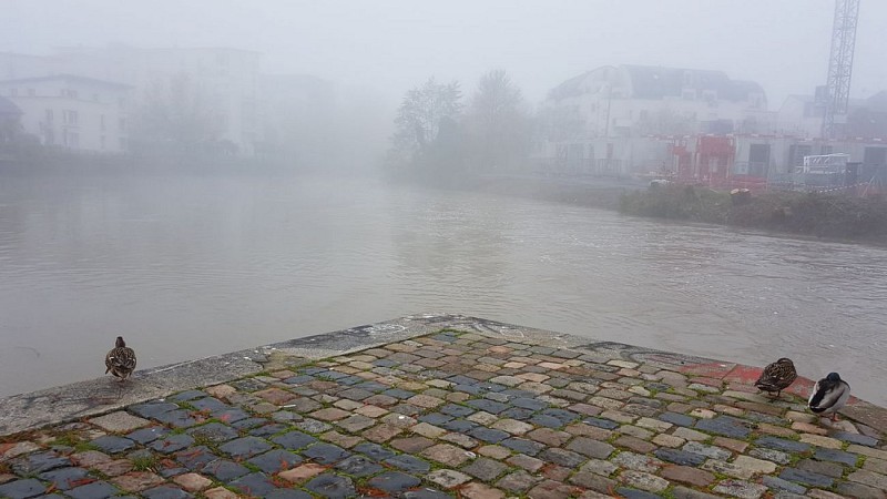 La confluence de l'Ille et de la Vilaine