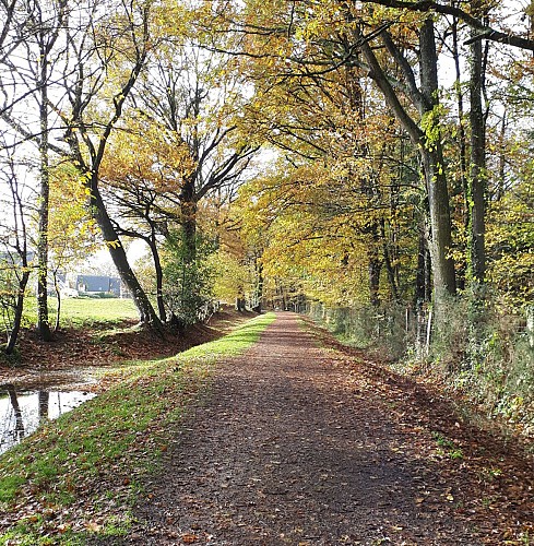 Beau chemin à Laillé 