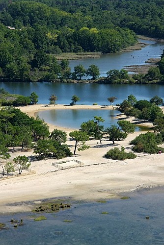 St Brice - Nature - arès - bassin arcachon © siba1