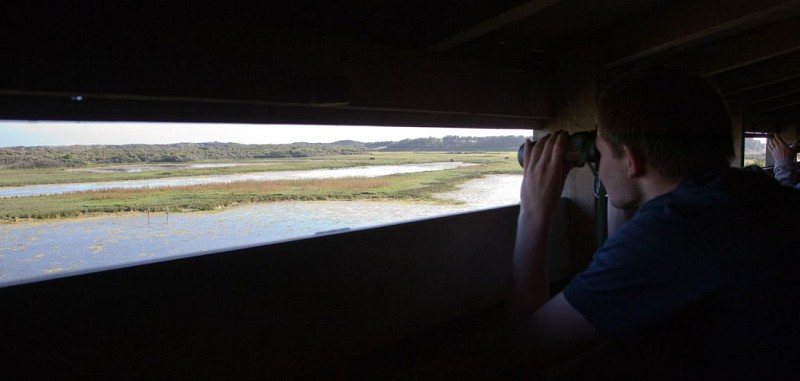 Observatoire du Platier d'Oye