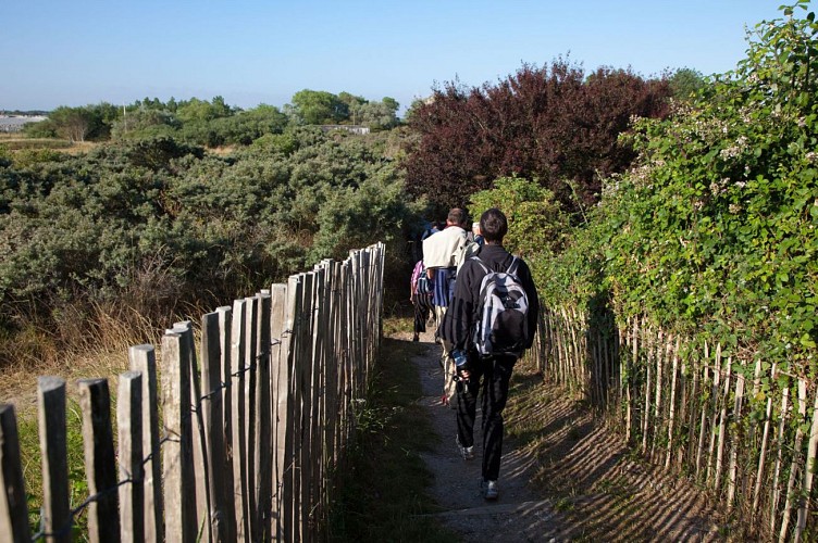 Balade au Platier d'Oye