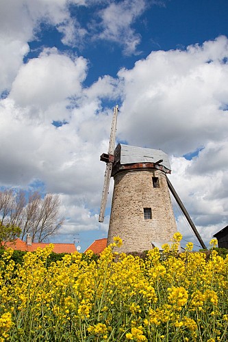 Moulin Lianne - Offekerque