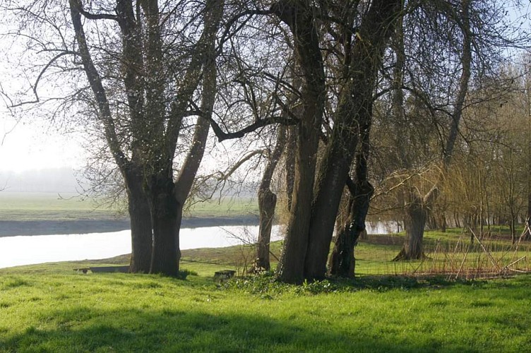 Briollay : Au fil de la Sarthe