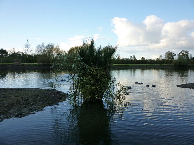Briollay : Au fil de la Sarthe