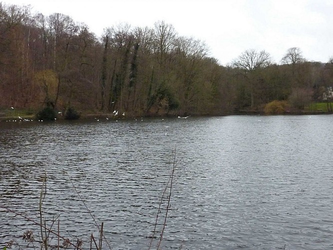 Vaucresson from One Pond to Another