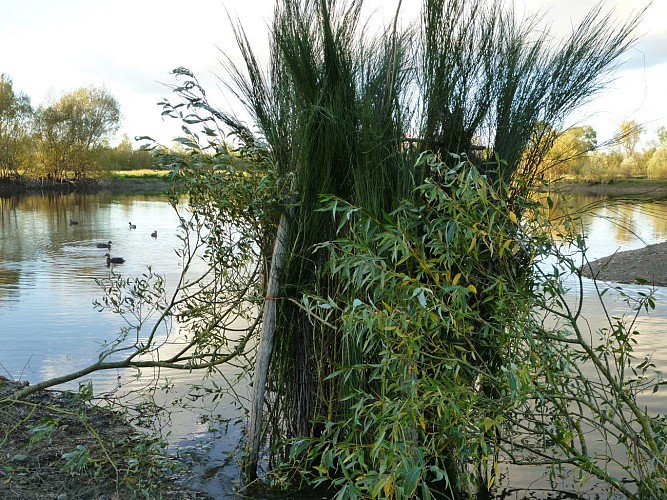 Le marais de Briollay