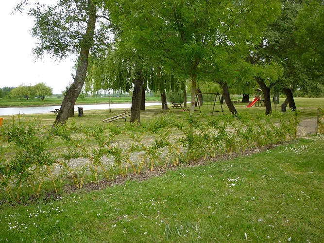 Le marais de Briollay