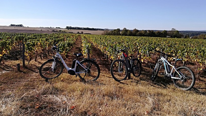 Circuit vélo Cosne-Cours-sur-Loire à Pouilly-sur-Loire