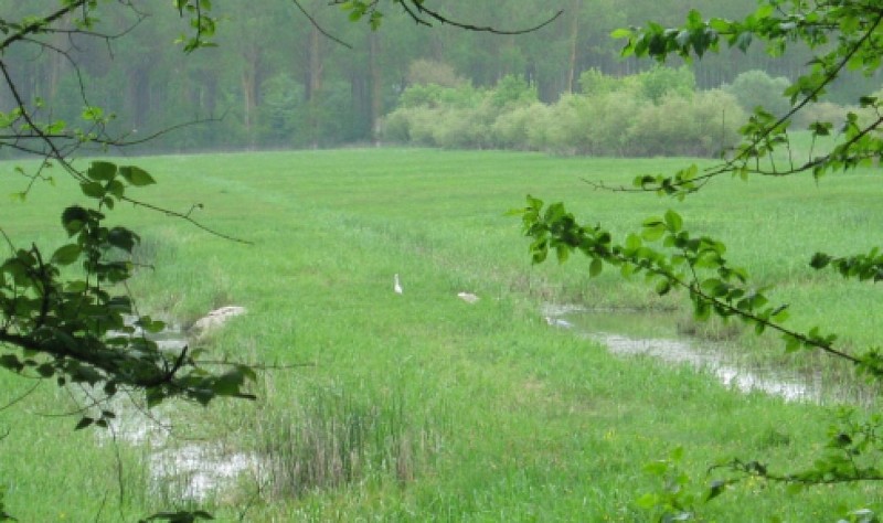 RANDONNÉE ENTRE MAYENNE ET SARTHE