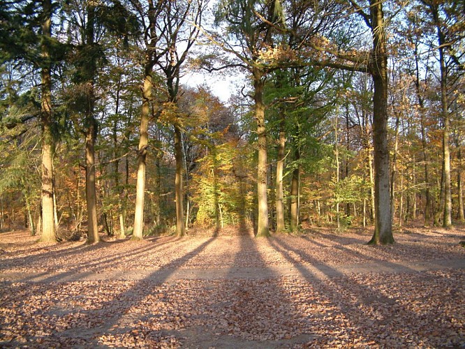 Le Chemin Bleu - Combrée