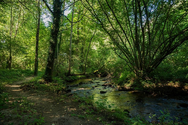 LASSAY, CIRCUIT DU RUISSEAU