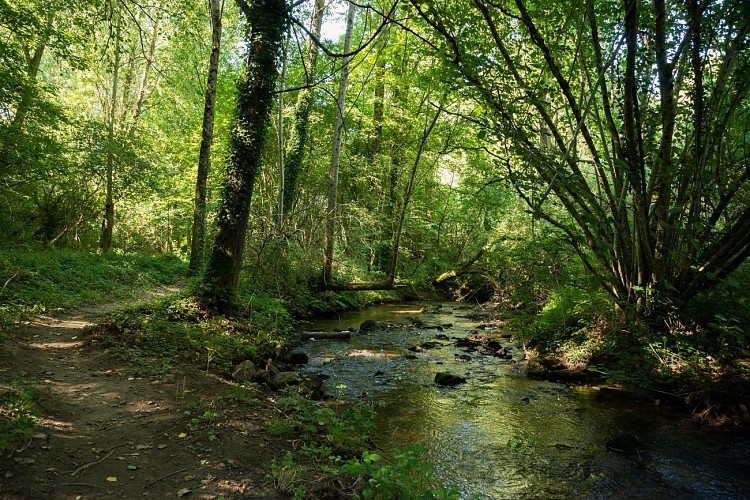 LASSAY, CIRCUIT DU RUISSEAU