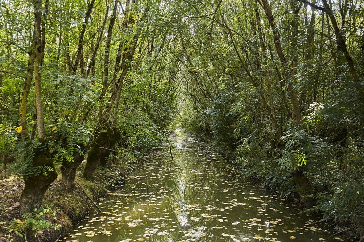 Boucle cyclable Les Melons
