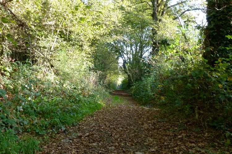 CIRCUIT PÉDESTRE JEAN DÔ BOIS