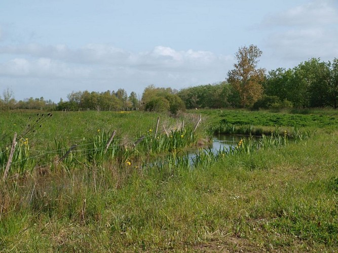 Boucle cyclable Les Polders