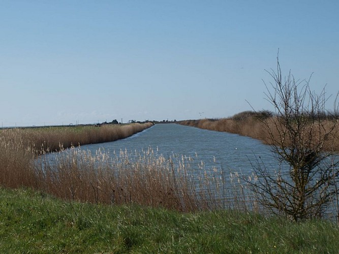 Boucle cyclable Les Polders