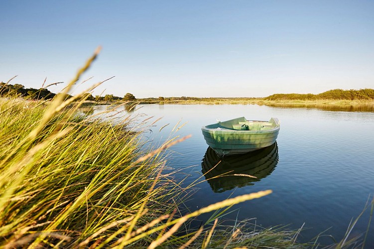 ROUTES DES VINS "CÔTE DE LUMIÈRE"