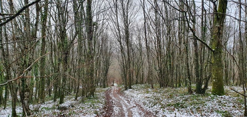Le chemin reste très praticable