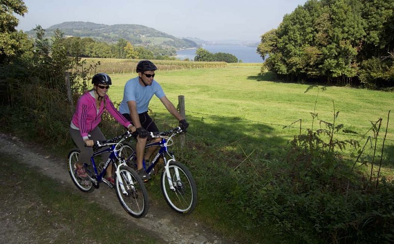 Paladru lake, Carthusian end