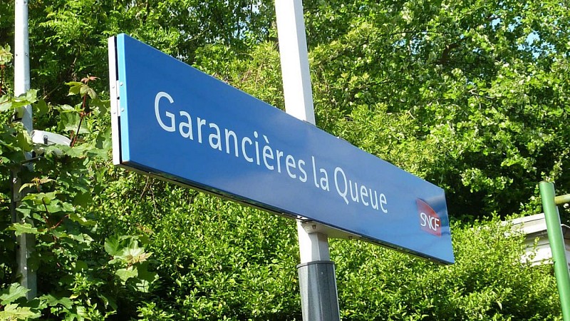 Forêt des Quatre-Pilliers