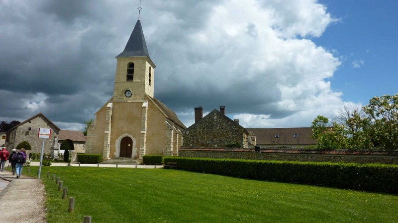 Forêt des Quatre-Pilliers