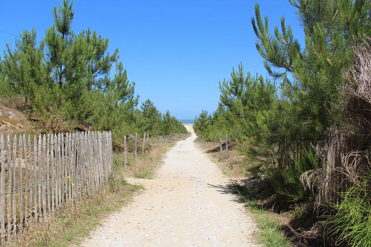 Plage St Nicolas (2)