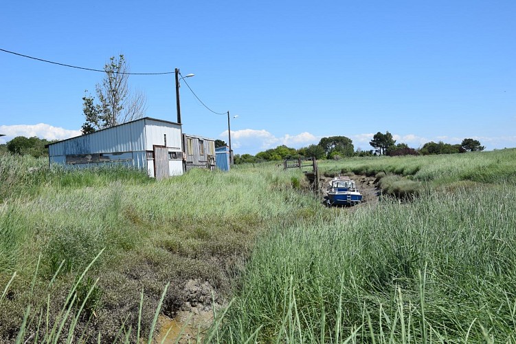 Vieux Port aux huîtres-marais © medoc-atlantique-tourisme_0635