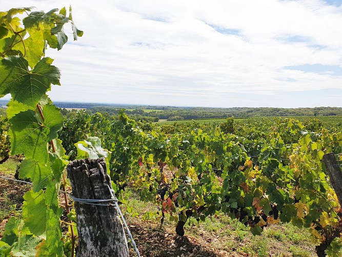 Sentier d'interprétation "des Lavières" - Vesoul-Val de Saône