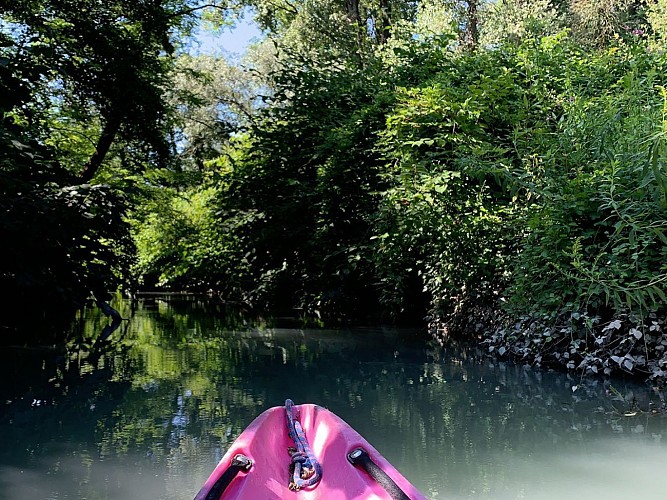 Descente du Rhône sauvage en canoë, kayak et stand up paddle avec Foxagliss - Environ 20km