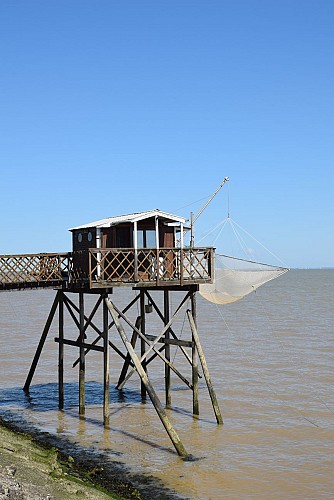 Boucle du Phare de Richard-Carrelet@medoc-atlantique-tourisme_0274