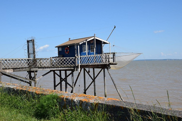 Boucle du Phare de Richard-Carrelet@medoc-atlantique-tourisme_0268