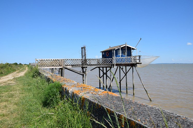 Boucle du Phare de Richard-Carrelet@medoc-atlantique-tourisme_0258