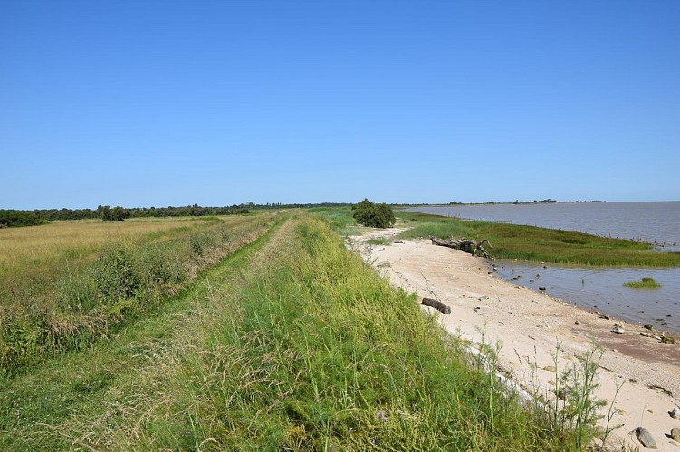 Boucle de l'Estuaire@medoc-atlantique-tourisme_0138