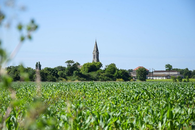 Boucle de l'Estuaire-Retouchee@medoc-atlantique-tourisme2