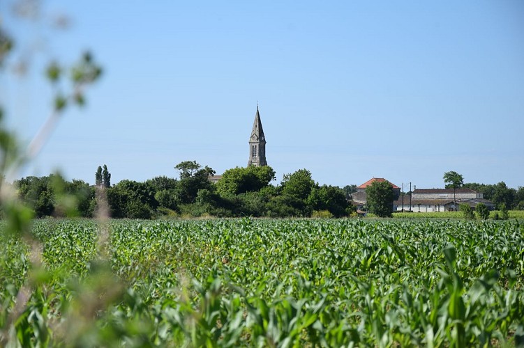 Boucle de l'Estuaire@medoc-atlantique-tourisme_0173