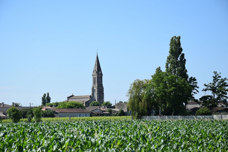 Boucle de l'Estuaire@medoc-atlantique-tourisme_0180