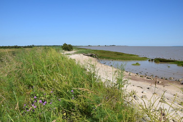 Boucle de l'Estuaire@medoc-atlantique-tourisme_0133