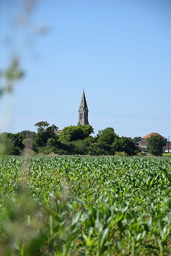 Boucle de l'Estuaire@medoc-atlantique-tourisme_0167